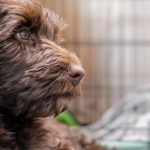 Open living room, San Jose, CA